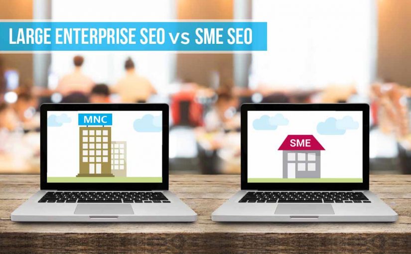 Large Enterprise and Small Medium SEO